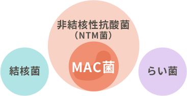 抗酸菌グループ「結核菌、非結核性抗酸菌症（NTM菌）のうち約9割がMAC菌、らい菌」イメージ図
